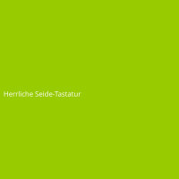 Herrliche Seide-Tastatur